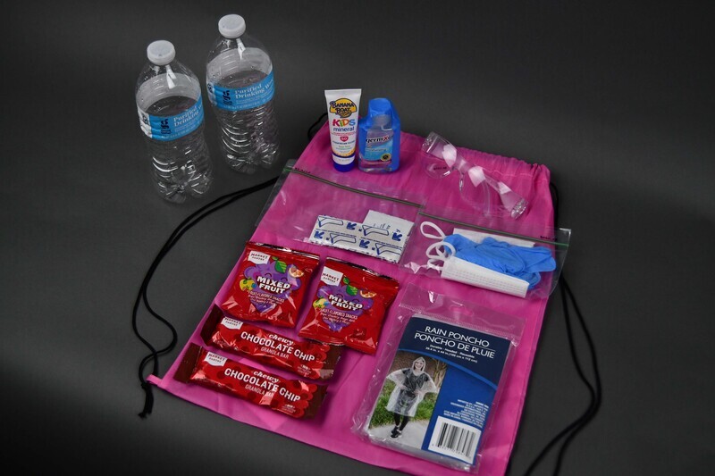 Drawstring backpack of pink nylon. Machine-stitched. Nylon cord makes shoulder straps and cinch closure. Backpack contains:

One pair safety glasses.
One Ziplock bag containing one pair nitrile gloves and one covid mask.
One Ziplock bag containing five band-aids and five prepackaged alcohol wipes.
Two bottled waters. 
Two chocolate chip granola bars.  
Two bags of mixed fruit gummi snacks.
One prepackaged rain poncho.
One bottle hand sanitizer. 
One tube sunscreen.  

Made and distributed to protestors by Organizer Joyce Levingston during the August 31 George Floyd Protest at Hawkeye Community College. Levingston borrowed the idea of protest kits from earlier protests in Ames and Des Moines. Levingston herself organized (with others) the May 29 march from Veterans Memorial Hall to Lincoln Park in Waterloo and the August 31 Hawkeye Community College Protest. 